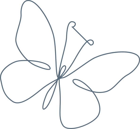 Butterfly image